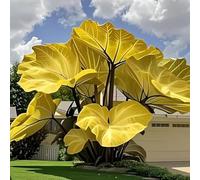 Orecchino a forma di elefante, perfetta idea regalo, resistente all'inverno, multicolore, ideale come regalo multianno, 3 cipolle