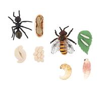 ORFOFE 2 set Modelli Ciclo Animale per Modelli Artificiali e Formica Giocattoli Educativi Cognitivi Resistenti e Facili da per Studio Biologico
