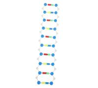 ORFOFE Dna Doppia Didattico Struttura Molecolare Dettagliata Kit Educativo per Studenti e Laboratori Supporto Apprendimento Biologia