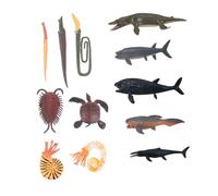 ORFOFE Modelli Animali Marini Simulati Giocattoli Educativi Preistorici per Creature Acquatiche Realistiche per Apprendimento Naturale