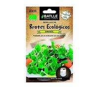 Organic Fennel Sprouts Seeds Batlle (10G): Package Contains Seeds