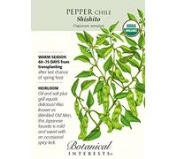 Organic Shishito Chile Pepper - 30 Semi:Seeds