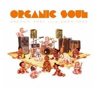 ORGANIC SOUL - (VARIOUS ARTIST