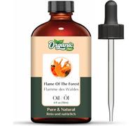 Organic Zing Flame of the forest (Butea Monosperma) Oil | Pure & Natural Essential Oil for Skincare, Aroma & Diffuser - 118 ml/3.99fl oz