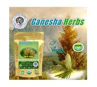 Organico & Crudo Pino Polline 200 Compresse X 500 MG Selvatico Raccolta N