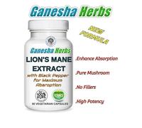Organico LION'S Criniera Fungo Estratto Alta Potenza - senza Additivi - 90