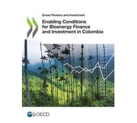 Organisation for Economic Enabling conditions for bioenergy financ (Tascabile)