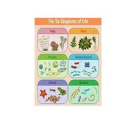 Organism Kingdoms Poster