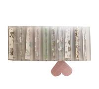 Organizadora Para Láminas De Transferencia De Uñas | Suministros Para ,Contenedor Para Hojas De Transferencia De Uñas,Para Mujeres, Estudiantes De Belleza, Viajes Y Salón En Casa