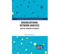 Organizational Network Analysis: Auditing Intangible Resources