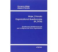 Organizational Questionnaire (M-DOQ). Questionario Multidimensionale per la diagnosi del Clima Organizzativo