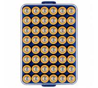 Organizer per batterie, piccola cassaforte per 48 batterie AA, in plastica trasparente, per viaggi, casa, ufficio (blu, L)