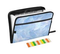 Organizer per ricevute chic con texture in marmo blu, 13 tasche, formato A4, con chiusura a cerniera per la conservazione dei documenti secondo l'organizzatore di file para guardar