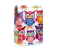 Organizer per trucco,custodia per rossetto per trucco per mini borsa da viaggio esterna,simpatici uccelli gufo facce diverse