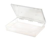 Organizer versatile con sezioni interne per riporre perline, bottoni e oggetti artistici ordinatamente organizzati