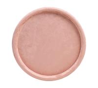 Organizzatore decorativo per gioielli con esercitazioni per il vassoio per