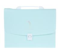 Organizzatore Di Documenti Per Ufficio Cartelle File Della Fisarmonica