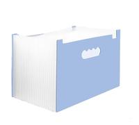 Organizzatore Di File A Fisarmonica Portadocumenti verticale multistrato A4 da 2 pezzi, 25 strati, for conservare 2000 fogli, for ufficio scolastico Per File In Formato A4/Lettera(Color 3)