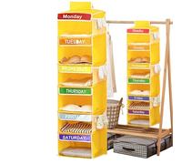 Organizzatore di vestiti settimanale per bambini, organizer per vestiti settimanali per bambini, organizzatore di vestiti dal lunedì al sabato, organizer per armadio sospeso con divisori, con 3 tasche