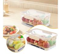 Organizzatore Multiuso Alimenti Contenitore per alimenti, portatile, trasparente, per conservare la freschezza, per campeggio, picnic, rettangolare, extra large, (Light blue, 25X17X12CM)
