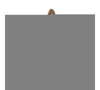 Organizzatore Tessuto Contenitore Fiori Floreali, Porta Lino Trasportare Culla Facilmente Decorativo, Un Pattumiera Stoccaggio Trama Caddy Pasqua Per Trasportatore Sacchetti Giocattoli, Cesto Cucina
