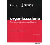 Organizzazione. Teoria, progettazione, cambiamento