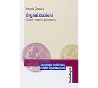 Organizzazioni. Culture, modelli, governance