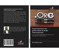 Organizzazioni non governative di diritto internazionale: Il ruolo mutevole delle ONG nella ricerca di uno status giuridico internazionale