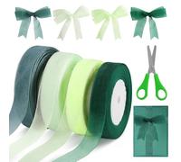 Organza Verde Salvia, Nastro 45m x 2cm, 4 Pezzi con Forbici, per Confezioni Regalo e Decorazioni Matrimoni