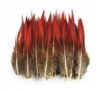 ORGEFY Piume di Fagiano, Pavone e Pollo, Piccole Piume per la creazione di Gioielli, Accessori Artigianali, Decorazioni, acchiappasogni, Dimensioni 5-10 cm, 500 Pezzi