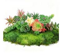 OrgMemory Piante Grasse, Pietra, Muschio, Utilizzate per Scrivania, Bagno, Cucina, Camera da Letto, Soggiorno e Decorazione Della Casa, Materiali Per Modellismo