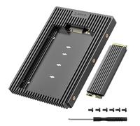 ORICO Adattatore disco rigido M.2 NGFF a 3,5” SATA HDD, telaio di montaggio del convertitore per chiave M.2 SATA SSD B+M Key in 2230/ 2242/ 2260/ 2280 (D2NS)