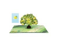 Origamo biglietto di auguri pop up con albero di limoni