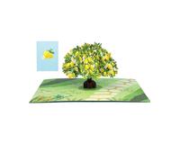 Origamo biglietto di auguri pop up con albero di limoni UNI