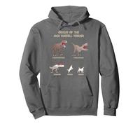 Origin of The Jack Russell Terrier Evolution History Meme Felpa con Cappuccio, Unisex per Adulti, Asfalto, S