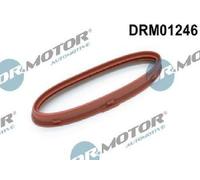 Original Dr.Motor Automotive Guarnizione Caricatore DRM01246 Per Mercedes-Benz
