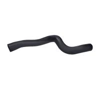 Tubo flessibile del radiatore IMPERGOM 222709