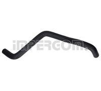 Tubo flessibile del radiatore IMPERGOM 227313