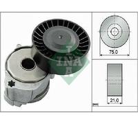 Original INA Tensionatore Cinghia Poly-V 534 0604 10 Per Ford Volvo