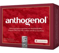 Original Masqueliers OPC Anthogenol - 75 capsule