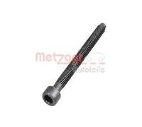 Original METZGER Vite Supporto Iniettori 0872003S Per Audi Ford Seat