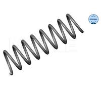 Original MEYLE Molla Della Sospensione Molla A Spirale Posteriore Per BMW 5