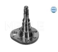 Original MEYLE Mozzo Della Ruota Sospensione 100 501 0036 Per Seat VW