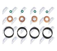 Original NTY Kit Di Guarnizioni Iniettore BWP-CT-003 Per Citroën Ford Mazda