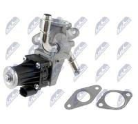 NTY Valvola EGR EGR-FR-007 per Ford Transit Van 2.4 TDCI RWD aria secondaria elettrica