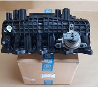 Original Opel collettore di aspirazione Antara 2.2 CDTI 25193560
