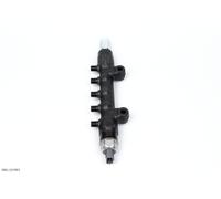 Original Psa distributore iniezione carburante Jumper III 2.2 HDi 1570.P1