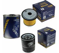 Original SCT Controllo Set Filtro + Flush Motore Motorspülung 11582196