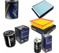 Original SCT Controllo Set Filtro + Flush Motore Motorspülung 11584057