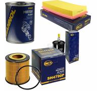 Original SCT Controllo Set Filtro + Flush Motore Motorspülung 11585031